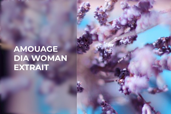 Amouage - Dia Woman Extrait