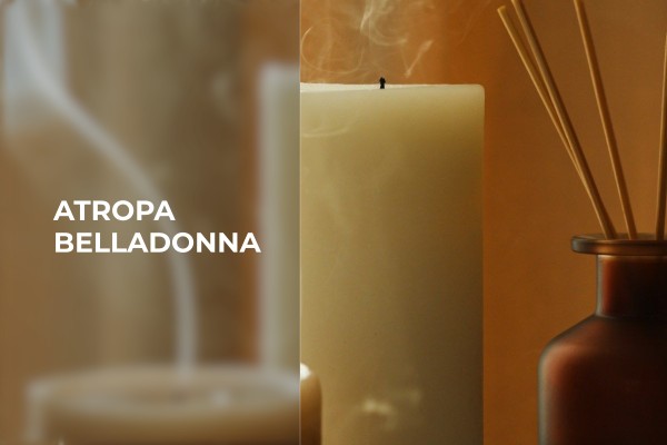 Atropa - Belladonna
