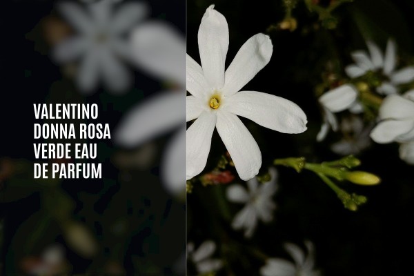Valentino - Donna Rosa Verde Eau de Parfum